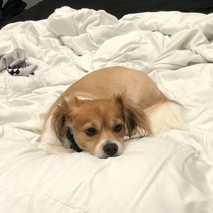 Meet your Posher, Nick